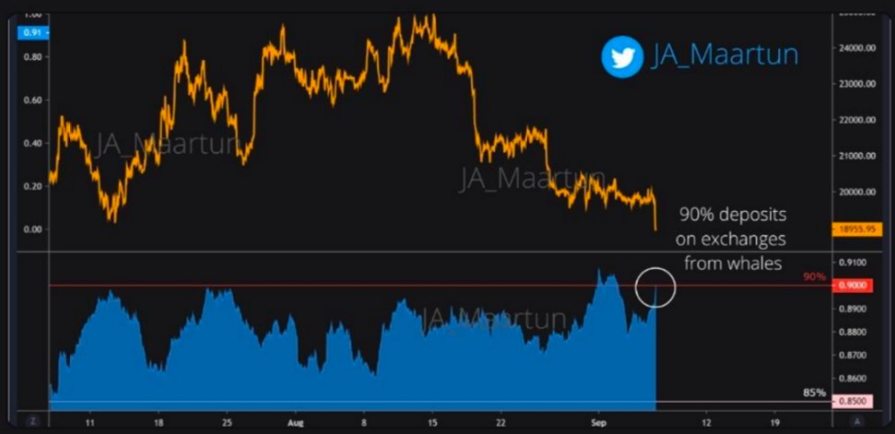 Exchange whale ratio